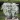 Dusty Miller