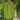 Fish Tail Palm