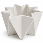 Starburst Geometric Plante