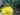 artificial-succulents-20
