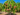 dfruit