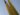 phormium-tenax-963